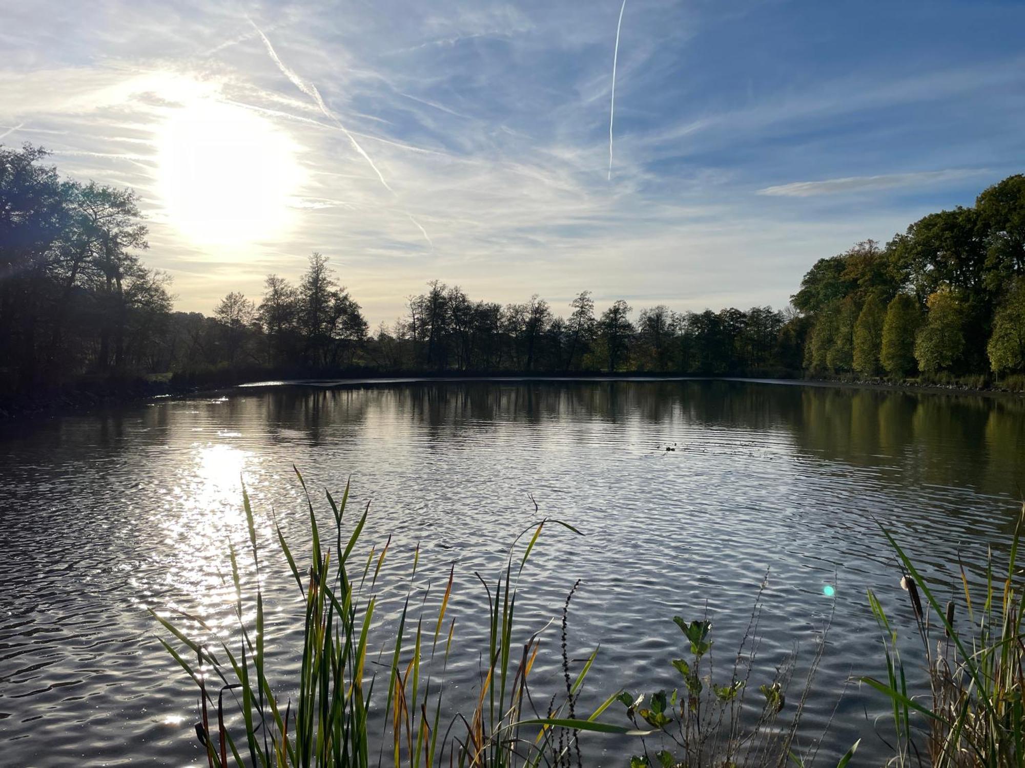 Naturnahe Unterkunft In Der Burgenstadt Schlitz Exterior photo
